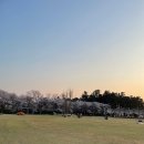 경포호수광장 이미지