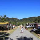 홍천강 오토캠핑장 이미지