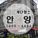 화이트청소대행 이미지