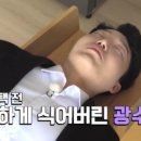 테디스테디고 이미지