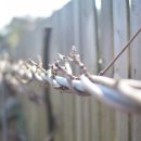 백운산장앞 이미지