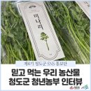 사리골농장 네이버블로그