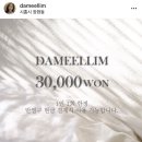 다밀림 이미지