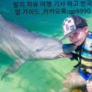 돌핀 - 양평군 양근로 243 | 돌핀
