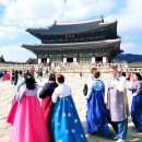 종로-종로-종로-종-224 | 서울 가볼만한 곳. 경복궁과 덕수궁 l 덕수궁 왕궁수문장 교대의식
