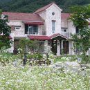 카페힐민박 이미지