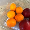 싱싱텃밭 | 🍑 부산 과일·밀키트 당일배송 “텃밭예찬” 솔직 후기 (그린황도/하코트살구/왕자두 콤보)