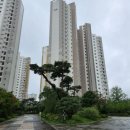 좋은사람정신건강의학과의원 이미지