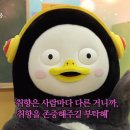 한양중식 이미지