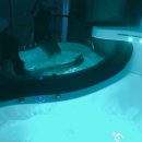 이스트풀빌라 이미지