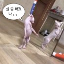 낙성대헬스장 &lt;모아핏휘트니스&gt; 한달 이용 후기