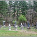 월정사 부도군 이미지