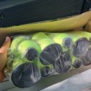 원동상사 이미지