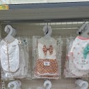 애견목욕탕 이미지