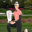 국가대표 챔피언 이미지