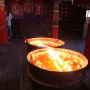 드비취일 이미지