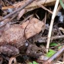 개원중학교 이미지