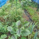 덕포농장 이미지