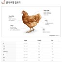 교촌치킨상봉 네이버블로그