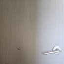 커낼로260번길 이미지