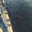 상동호수공원 이미지