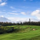 (주)윈드밸리 이미지