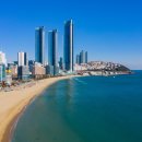 부산축산농협 한우프라자 하단점 이미지