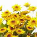 능인한의원 이미지