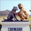 돈지백구마을 이미지