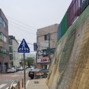 오도리김밥