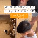 원반농장 이미지