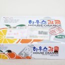 양지청과 이미지