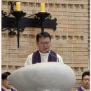 2025년 대전교구 사회복지국 감사미사 이미지