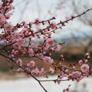 산이농원 이미지