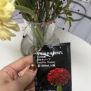 이연농장 | 네이버1위 꽃정기구독 플립플라워, 한 달 이용 후기