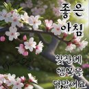 행복한아침 이미지