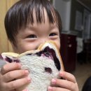 마블스퀘어월성 | 마블스퀘어 월성점 대구 월성 수제식빵 맛집 하트식빵 블루베리식빵 소금빵 통밀식빵
