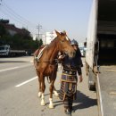 제9회 용인시민의 날 기념행사 열려 이미지