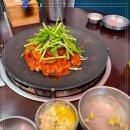쭈꾸미도사 - 양천구 오목로 313-3 | 쭈꾸미도사