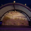 전라남도 신안군 안좌면 퍼플교 이미지