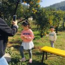 예덴농장 이미지