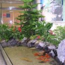 청석초등학교 이미지