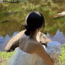 프레종 | W.03 제주 웨딩 스냅 토탈샵 프레종 계약 후기 내돈내산