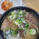 도시교통연구소 | 나주곰탕노안집 후기 | 광주 챔피언스필드까지 이어지는 하루 코스