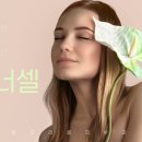 이너셀