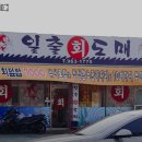 일출회도매