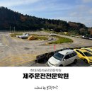 제주한국상용트럭서비스 (주) | 3일만에 취득 성공! 제주운전전문학원 현대자동차운전전문학원
