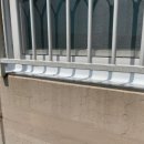 더펠리스 이미지