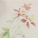 연필스케치와 꽃그림 이미지