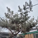 온천1구 경로당 이미지